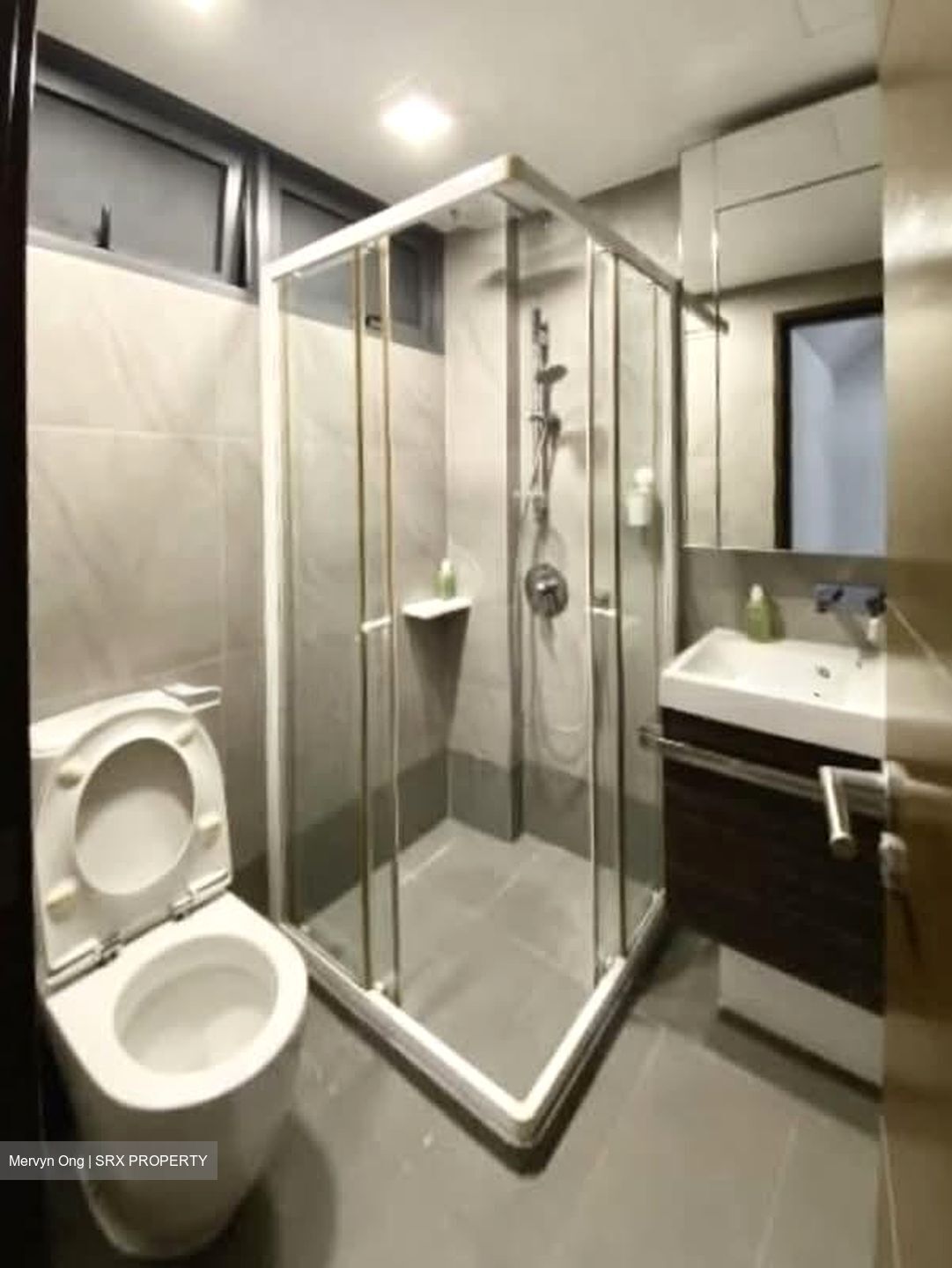 The Foresta @ Mount Faber (D4), Condominium #536124111